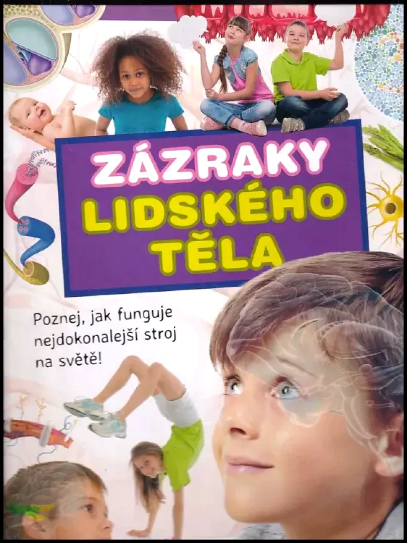Levně Zázraky lidského těla (Ilona Bagoly, 2019)