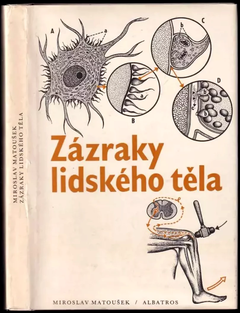 Zázraky lidského těla (Miroslav Matoušek, 1983)