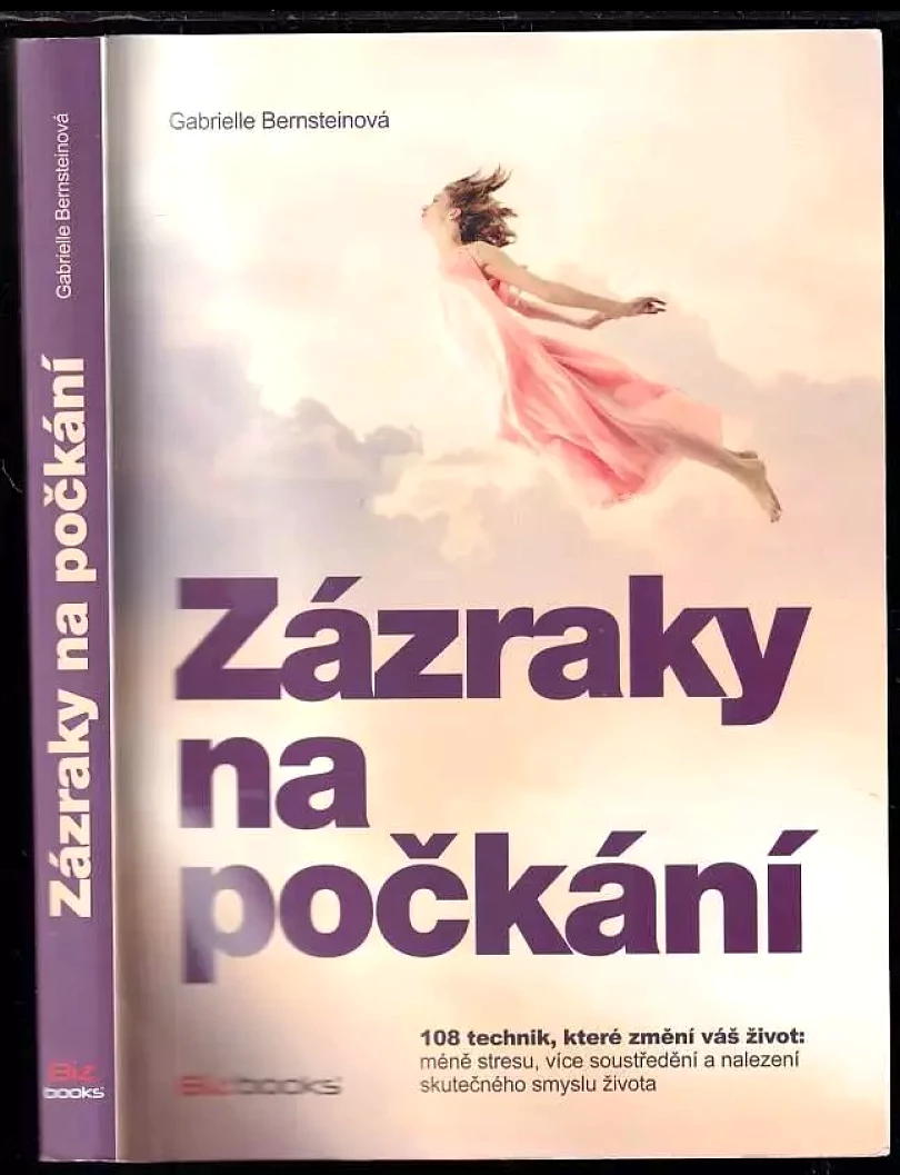 Levně Zázraky na počkání (Gabrielle Bernstein, 2015)