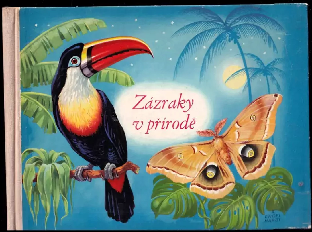 Zázraky v přírodě (Siegfried Sorge, 1970)