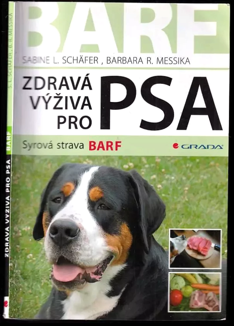 Zdravá výživa pro psa (Sabine L Schäfer, 2008)