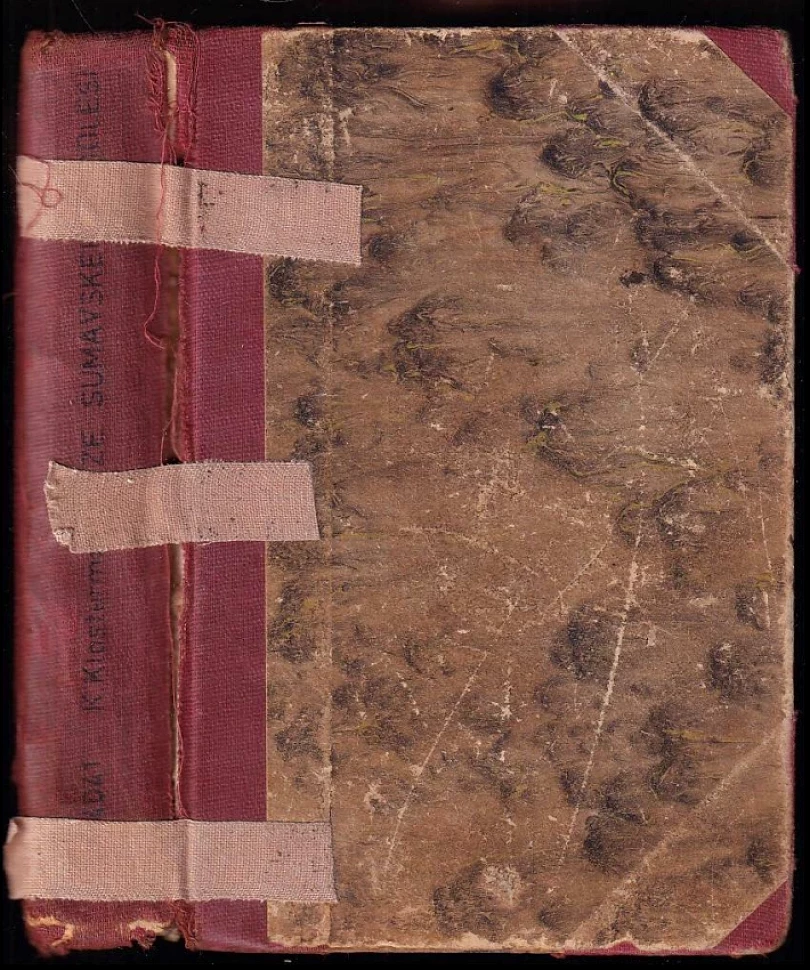 Levně Ze šumavského podlesí (Karel Klostermann, 1908)