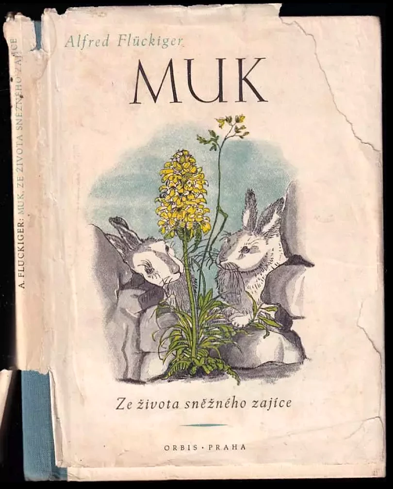 Levně Ze života sněžného zajíce (Alfred Flückiger, 1942)