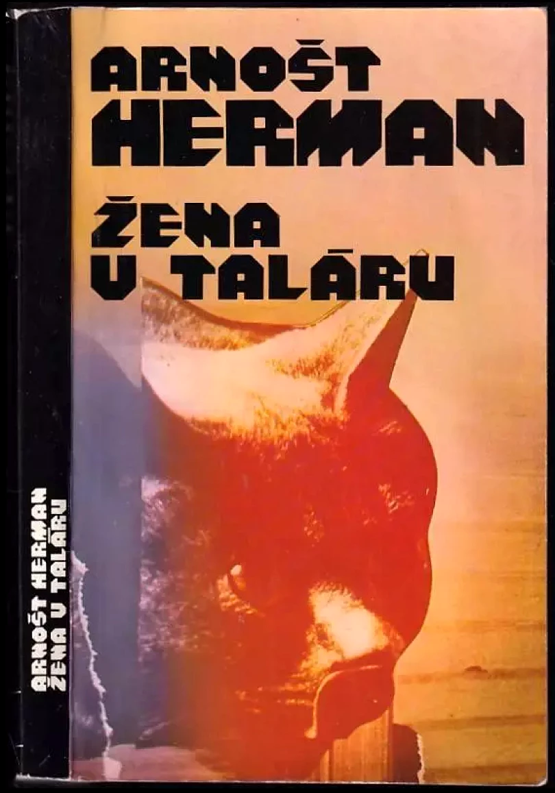 Levně Žena v taláru (Arnošt Herman, 1990)