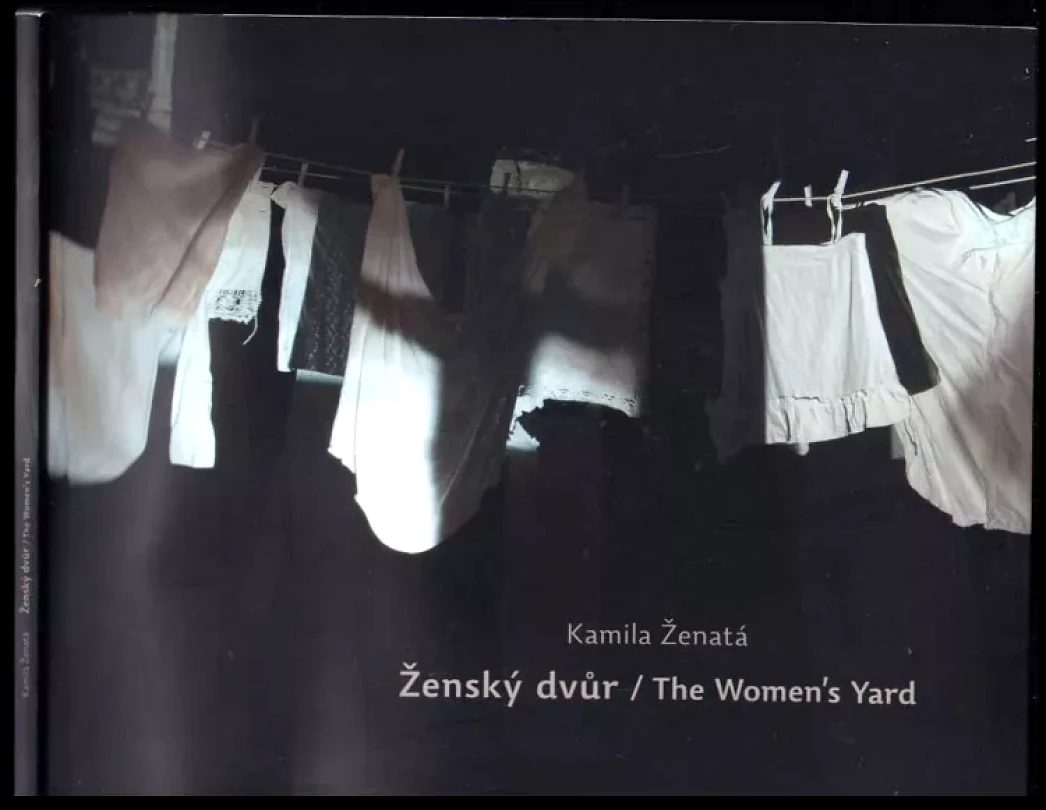 Levně Ženský dvůr (Milan Ohnisko, 2013)