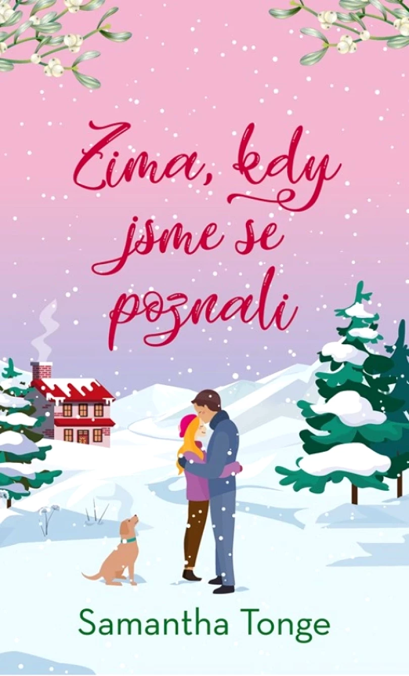 Levně Zima, kdy jsme se poznali (Tonge Samantha, 2023)