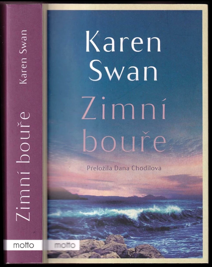 Levně Zimní bouře (Swan Karen, 2024)