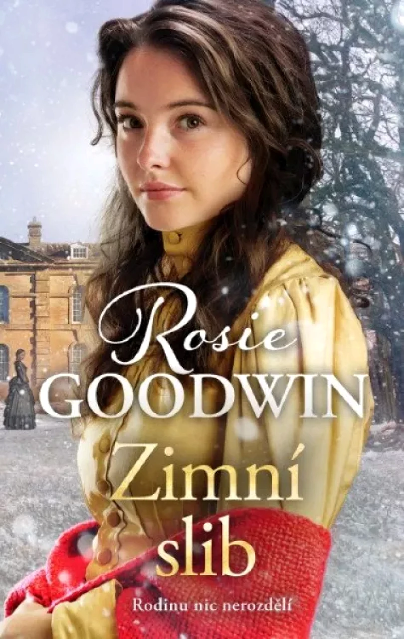 Levně Zimní slib (Rosie Goodwin, 2022)