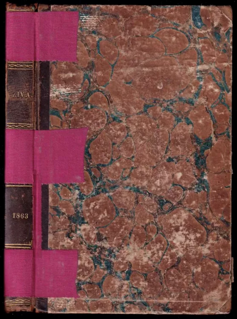 Levně Živa - ročník XI. (, 1863)