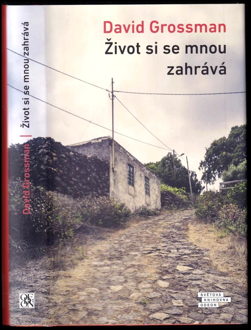 Život si se mnou zahrává (David Grossman, 2022)