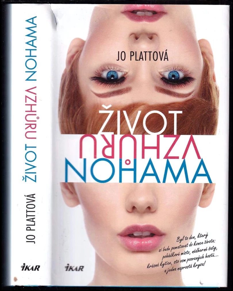 Život vzhůru nohama (Jo Platt, 2015)