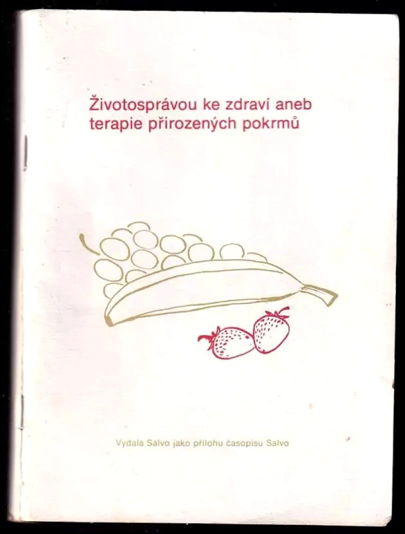 Životosprávou ke zdraví aneb terapie přirozených pokrmů (Ladislav Vojnar, 1992)