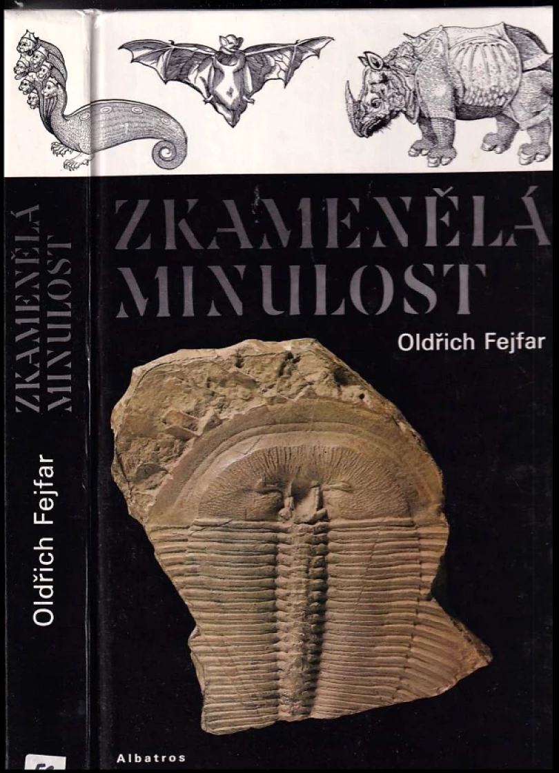 Levně Zkamenělá minulost (Oldřich Fejfar, 1989)