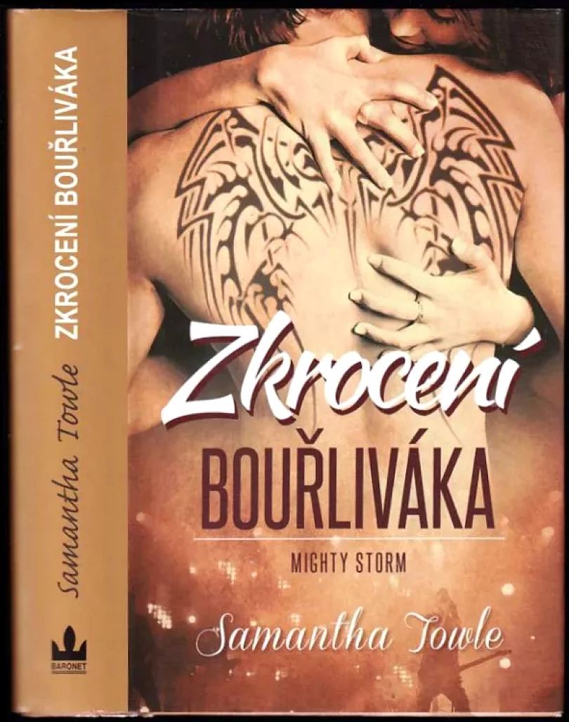 Levně Zkrocení bouřliváka (Samantha Towle, 2015)