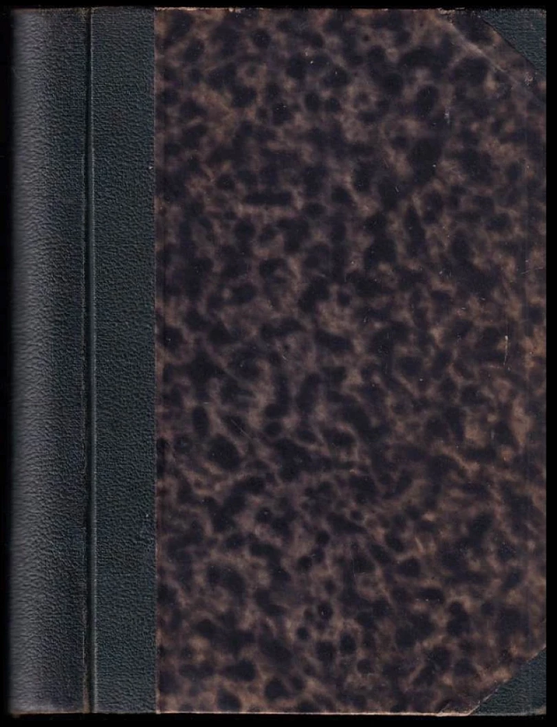 Žluté nebezpečí + Vrahova milenka (Jaroslav Demasi, 1935)