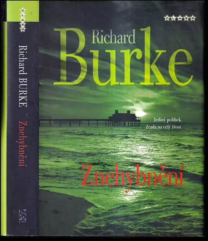 Znehybnění (Richard Burke, 2007)