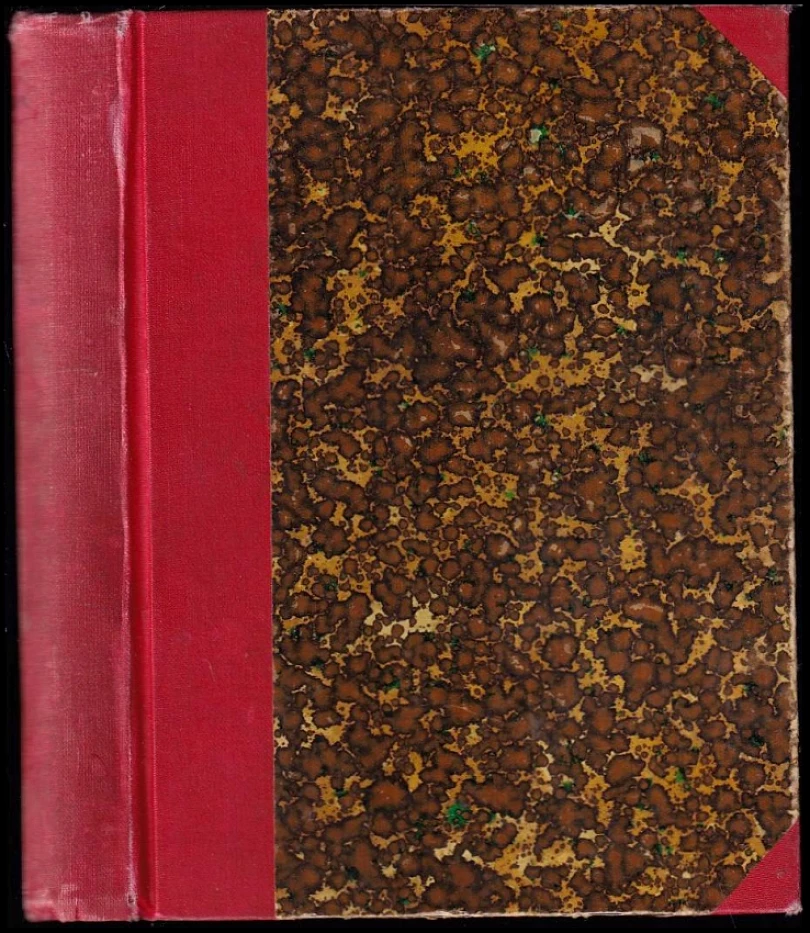 Levně Zrazené srdce ; Na rozcestí : dva romány (Jindřich Smrček, 1923)