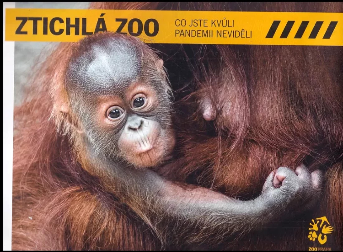 Levně Ztichlá zoo (Miroslav Bobek, 2021)