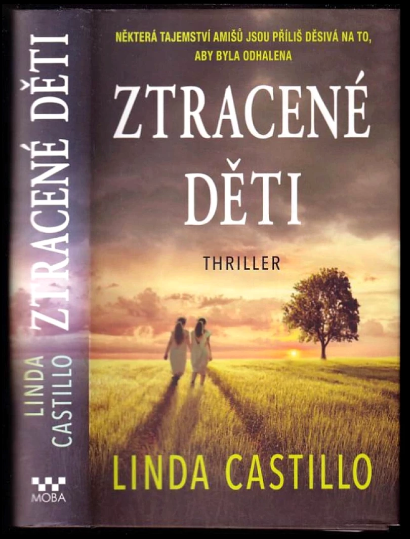 Levně Ztracené děti (Linda Castillo, 2017)