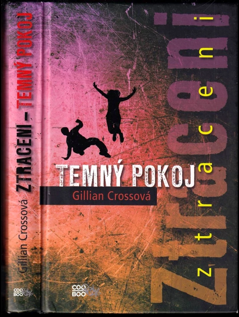 Ztraceni (Gillian Cross, 2010)