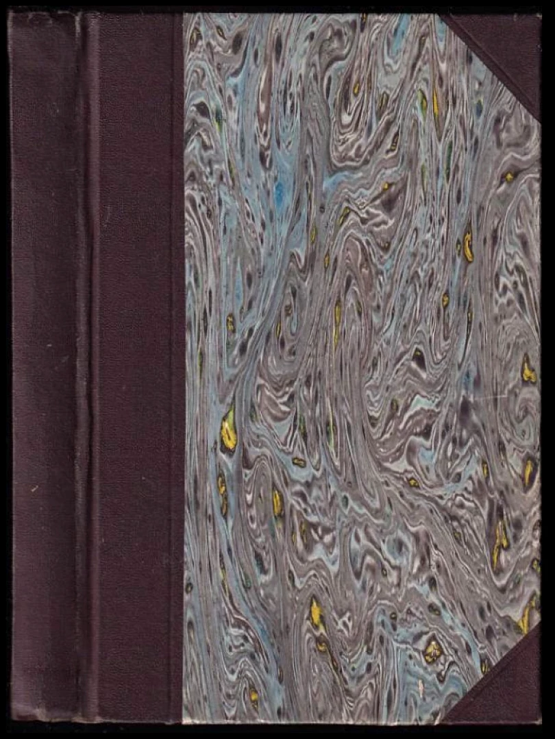 Levně Ztracený stín (Egon Hostovský, 1933)
