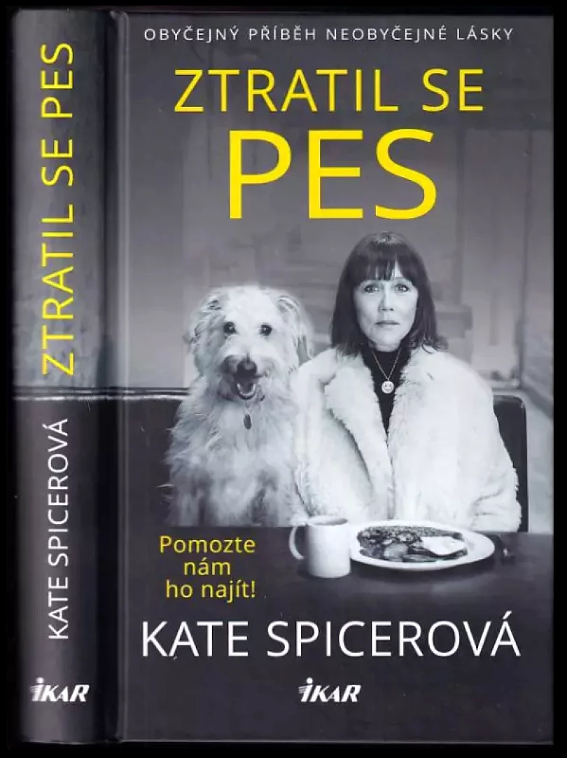 Ztratil se pes : pomozte nám ho najít (Kate Spicer, 2020)