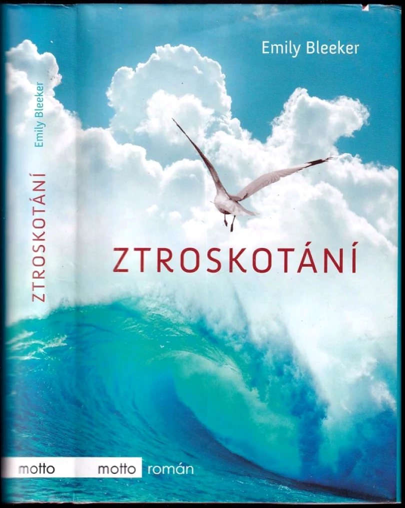 Levně Ztroskotání (Emily Bleeker, 2017)