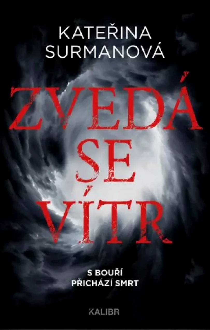 Zvedá se vítr (Kateřina Surmanová, 2023)