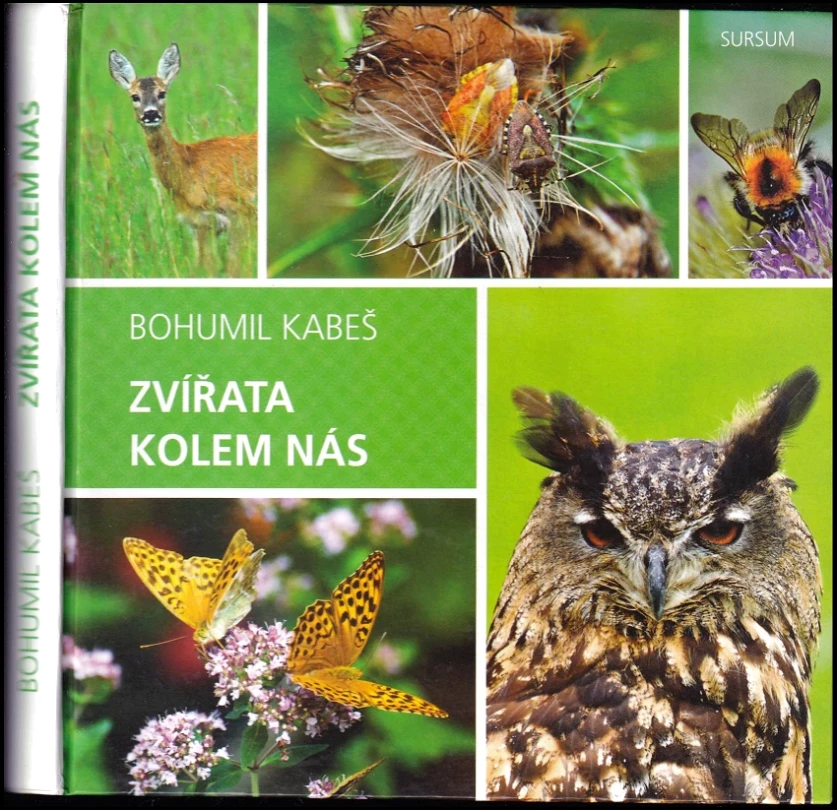 Levně Zvířata kolem nás (Bohumil Kabeš, 2017)