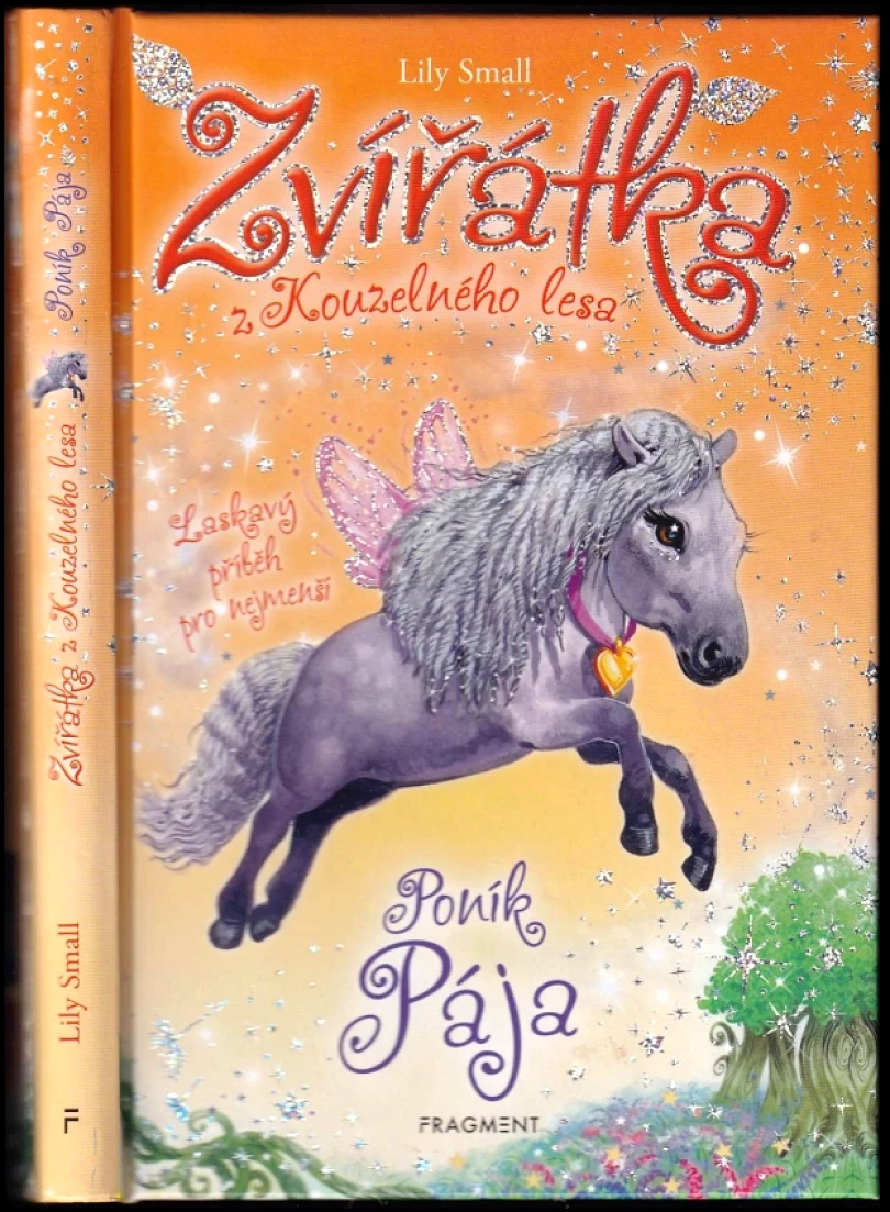 Levně Zvířátka z Kouzelného lesa (Lily Small, 2022)