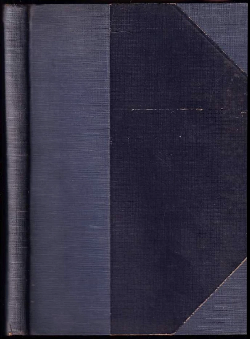 Levně Zvonice DEDIKACE QUIDO MARIA VYSKOČIL (Quido Maria Vyskočil, 1908)
