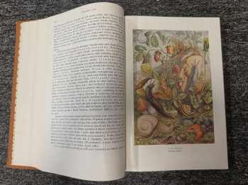 Alfred Brehm: KOMPLETNÍ Brehmův život zvířat I. díl Bezobratlí + II. Ryby, Obojživelníci, Plazi (2 svazky) + III. Ptáci (4 svazky) + IV. Ssavci (4 svazky)