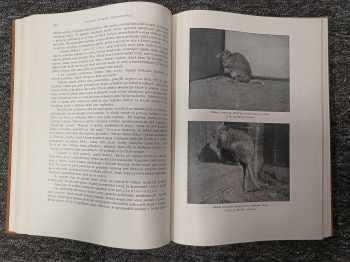 Alfred Brehm: KOMPLETNÍ Brehmův život zvířat I. díl Bezobratlí + II. Ryby, Obojživelníci, Plazi (2 svazky) + III. Ptáci (4 svazky) + IV. Ssavci (4 svazky)