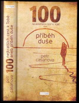 100 nejkratších cest k Tobě, aneb, Příběh duše
