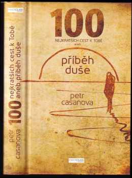 100 nejkratších cest k Tobě, aneb, Příběh duše