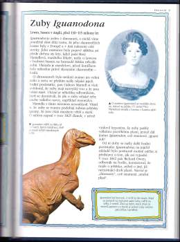 Jacqueline Dineen: 100 největších objevů archeologie