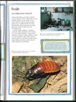 Andy Charman: 100 nejzajímavějších živočichů