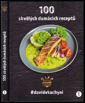 David Vonášek: 100 skvělých domácích receptů