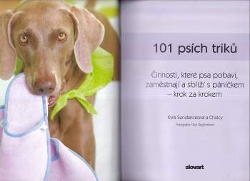 Kyra Sundance: 101 psích triků