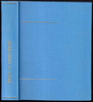 Gill McBain: Duch zrádce