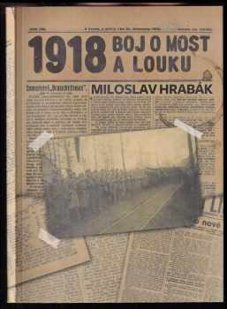 1918 - boj o Most a Louku