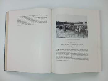 1933