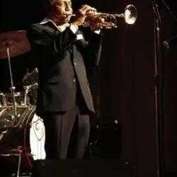 Joe Newman