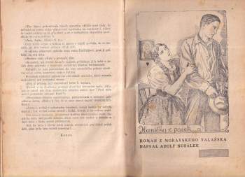 Adolf Nosálek: 2X Ženský románek: Mladá macecha + Hanička z pasek