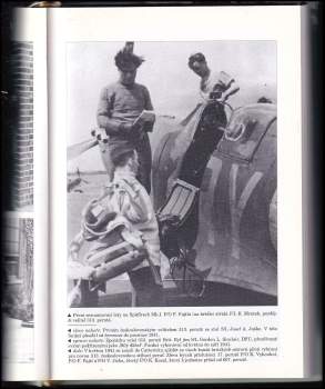 Jiří Rajlich: 313. stíhací peruť