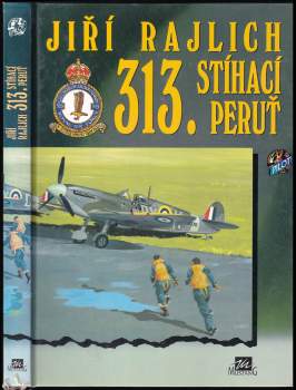 313. stíhací peruť