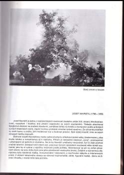 Josef Matěj Navrátil: 32. výtvarné Hlinecko 1991