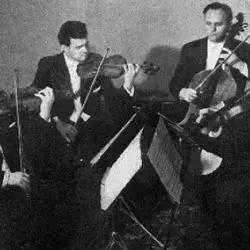 Vlach Quartet