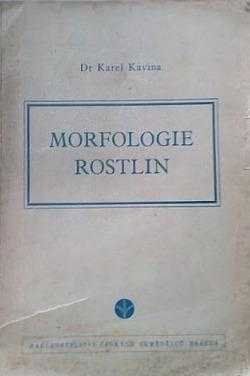 Morfologie rostlin