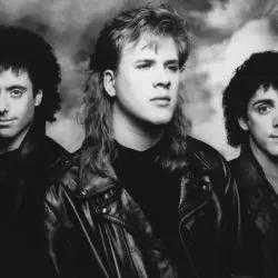 The Jeff Healey Band